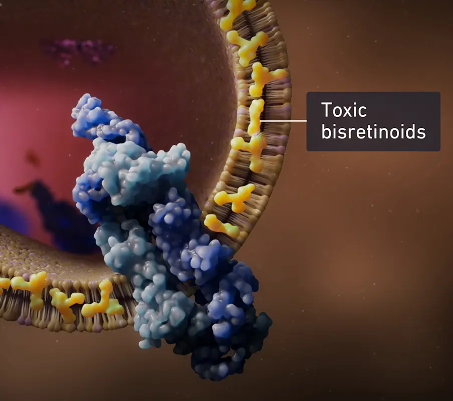 Illustration showing toxic bisretinoids interacting with the ABCA4 protein in retinal cells.